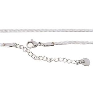 stainless steel necklace Chain, snakeskin, platinum plated, approx 2.5mm, 48-53cm length