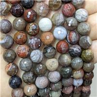 Natural Wood Petrified Jasper Beads Faceted Round Multicolor, approx 12mm dia