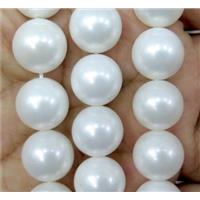 White Pearlized Shell Beads Smooth Round, approx 8mm dia