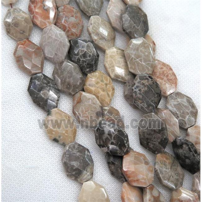 Coral Fossil slice beads, faceted freeform