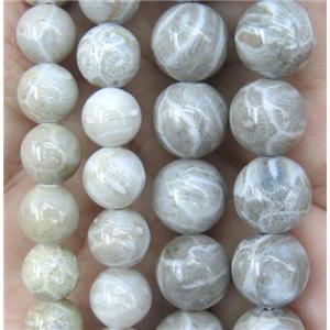 round coral fossil beads, Grade A, approx 10mm dia
