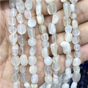 Natural Moonstone Chips Beads Gray Freeform, approx 5-8mm