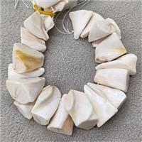 White Queen Shell Beads Freeform Topdrilled, approx 20-40mm, 20cm length