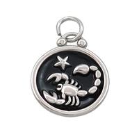 Raw Stainless Steel Scorpio Zodiac Charms Pendant Circle Black Enamel, approx 17mm dia