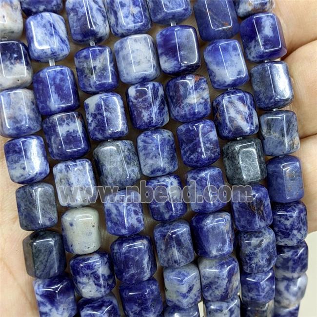 Natural Blue Sodalite Prism Beads