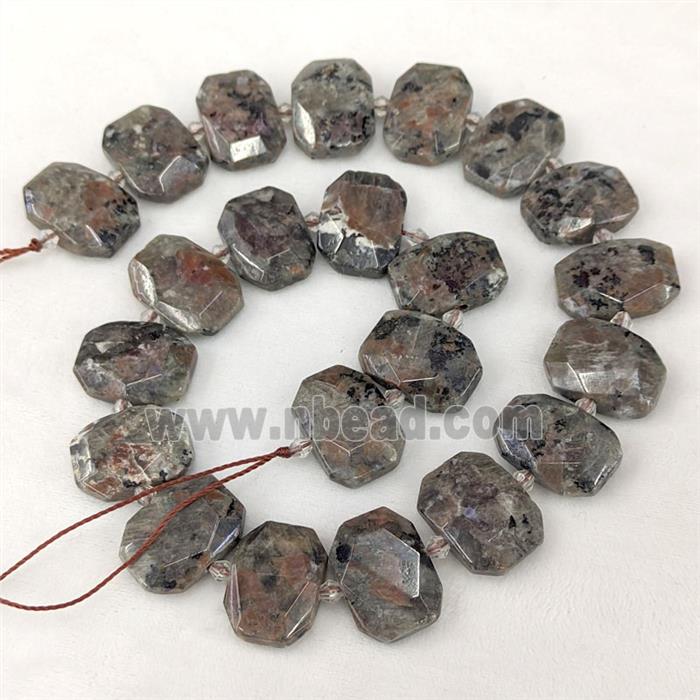 Natural Yooperlite Flame Jasper Beads Faceted Rectangle
