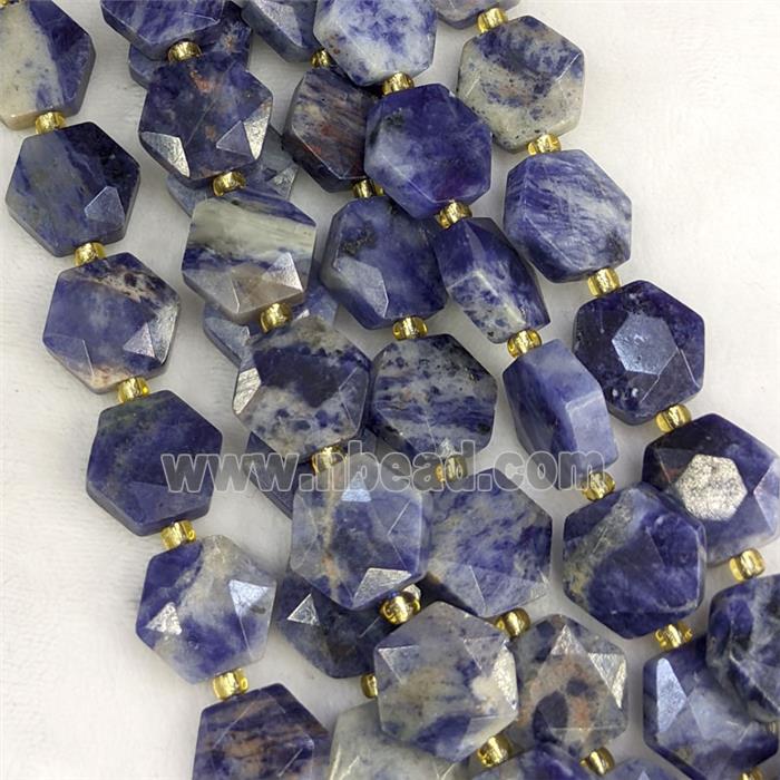 Natural Blue Sodalite Hexagon Beads Faceted