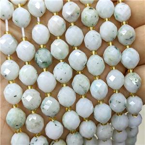 Natural Chinese Nephrite Jade Beads Lt.green Faceted Rice, approx 8-10mm