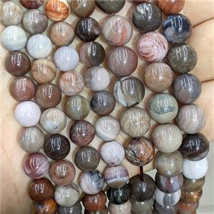 Natural Wood Petrified Jasper Beads Multicolor Smooth Round, approx 8mm