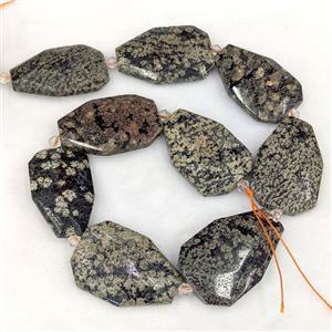 Snowflake Jasper Slice Beads, approx 20-38mm