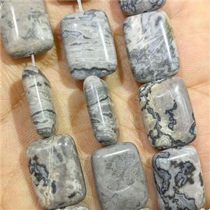 Gray Map Jasper Rectangle Beads, approx 13-18mm