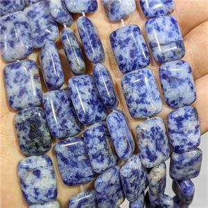 Blue Dalmatian Jasper Rectangle Beads, approx 13-18mm