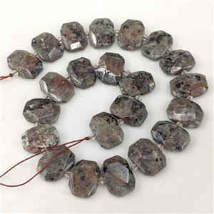 Natural Yooperlite Flame Jasper Beads Faceted Rectangle, approx 13-23mm