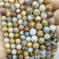 Natural Yellow Crazy Lace Agate Beads Faceted Round, approx 8mm