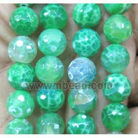 faceted round Green Fired Agate Beads