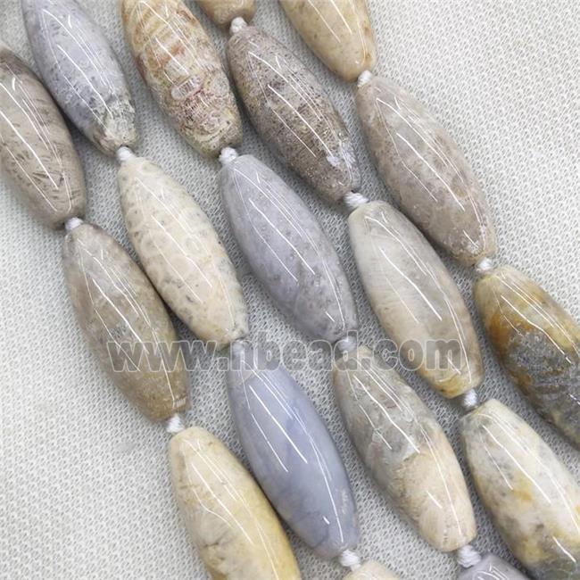 Natural Coral Fossil Rice Beads