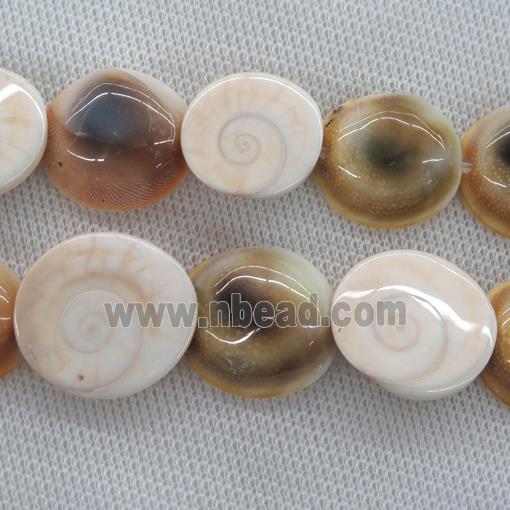 Shiva Shell Fossil beads