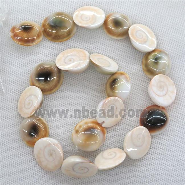 Shiva Shell Fossil beads