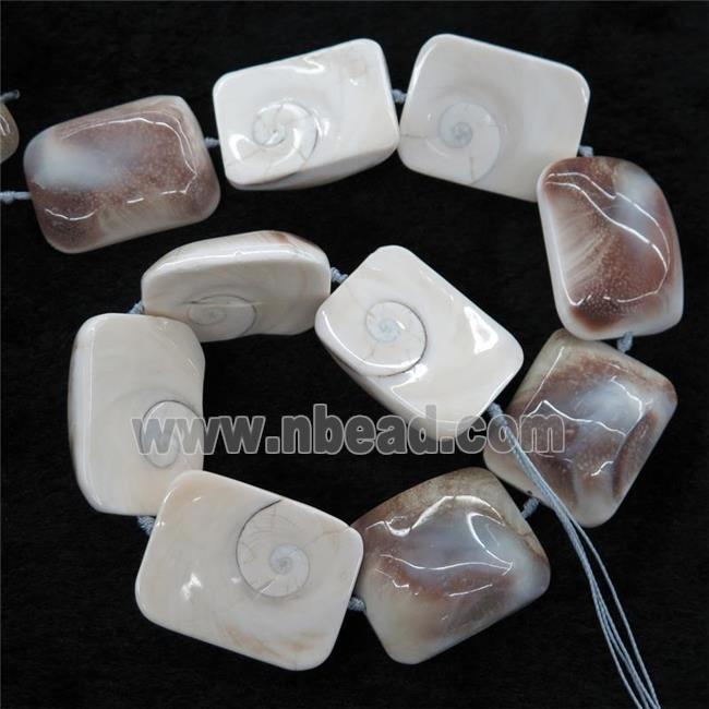 Shell Fossil beads, rectangle