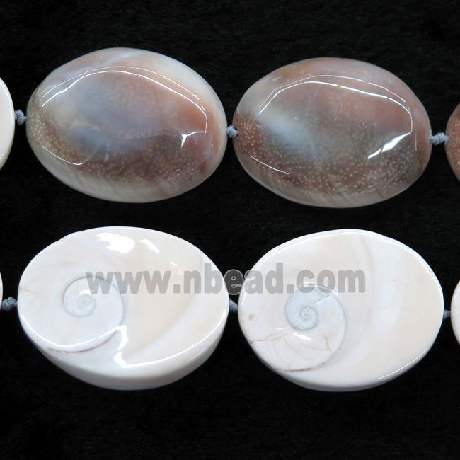 oval Shell Fossil beads