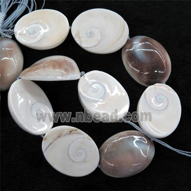 oval Shell Fossil beads