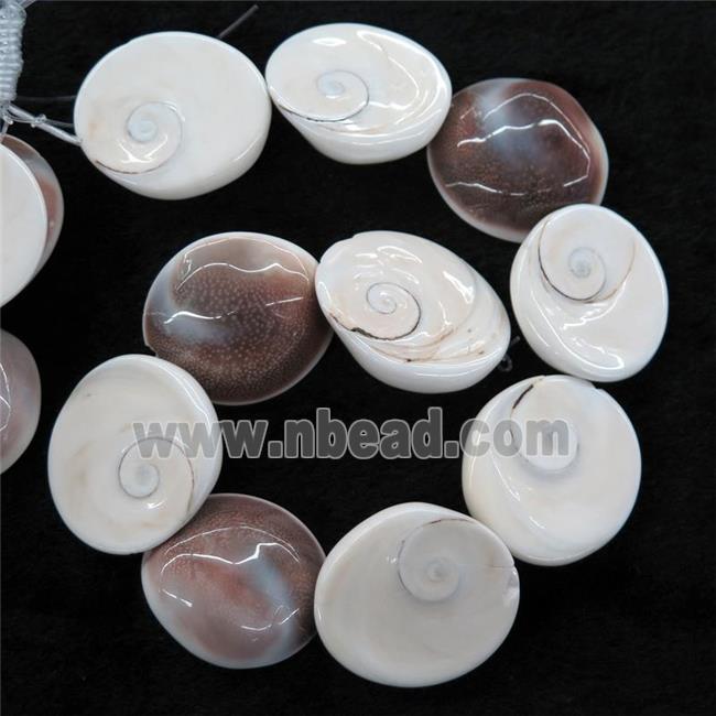 Shell Fossil beads, freeform