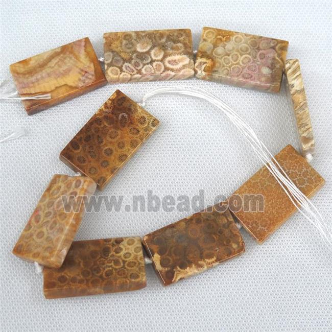 yellow Coral Fossil Beads, rectangle Petoskey