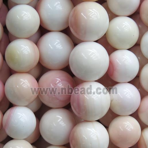 round Queen Conch Shell Beads