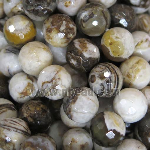 faceted round American Wooden Petrified Jasper Beads