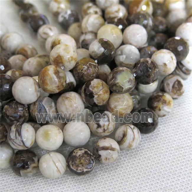 faceted round American Wooden Petrified Jasper Beads