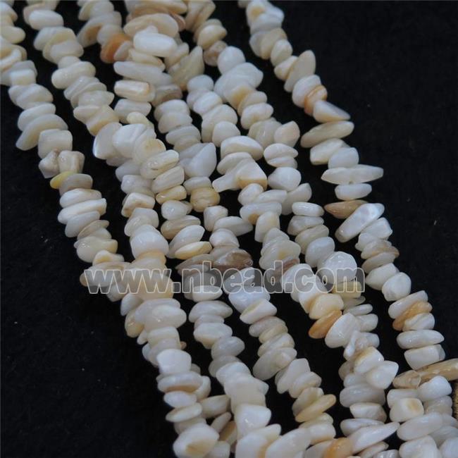 shell chip beads