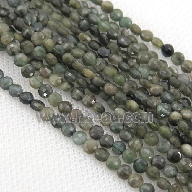 green African Chrysoprase Beads, faceted circle