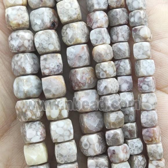 Ammonite Fossile Beads, faceted cube