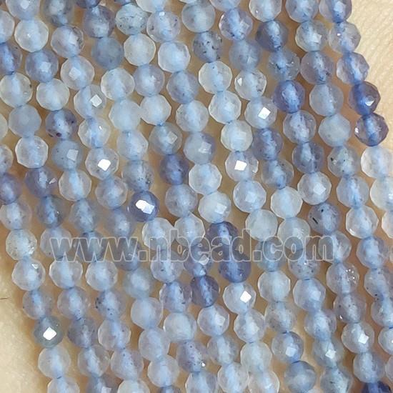 Iolite Seed Beads Faceted Round