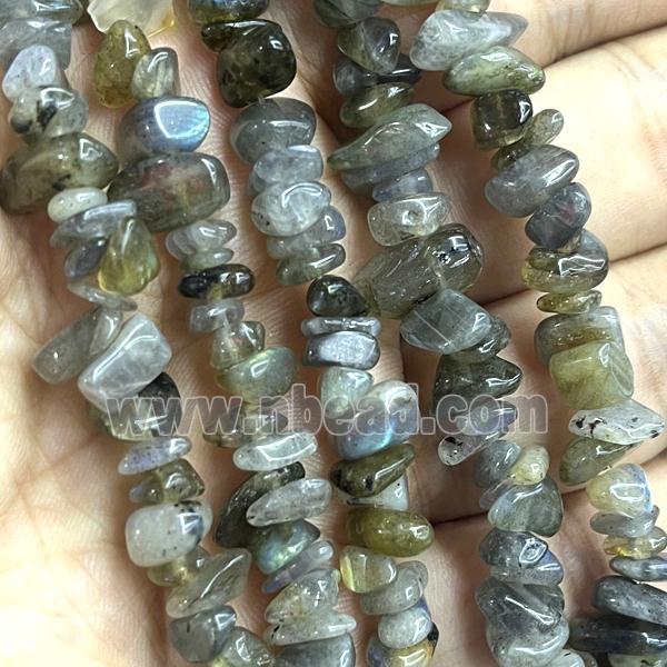 Labradorite Chip Beads Freeform
