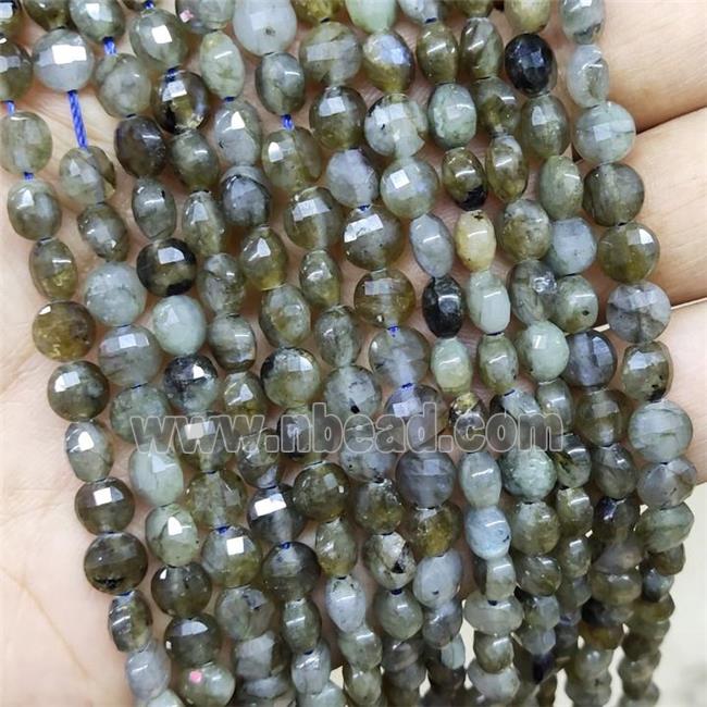 Labradorite Beads Faceted Coin