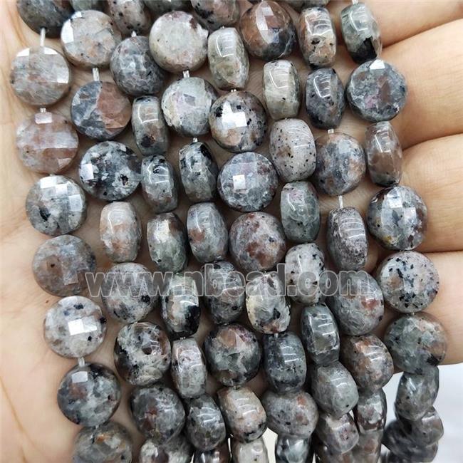 Yooperlite Flame Jasper Beads Faceted Coin