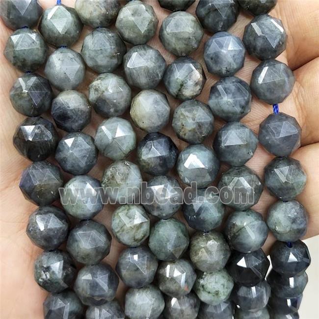 Labradorite Beads Cut Round