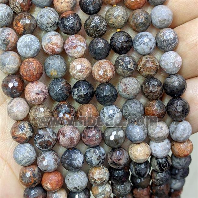 Natural Coral Fossil Beads Faceted Round Multicolor