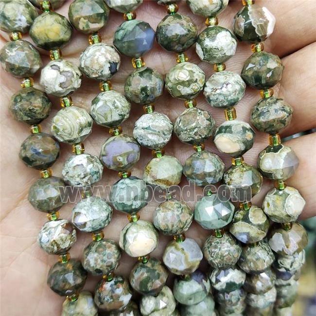 Natural Green Rhyolite Beads Cut Rondelle