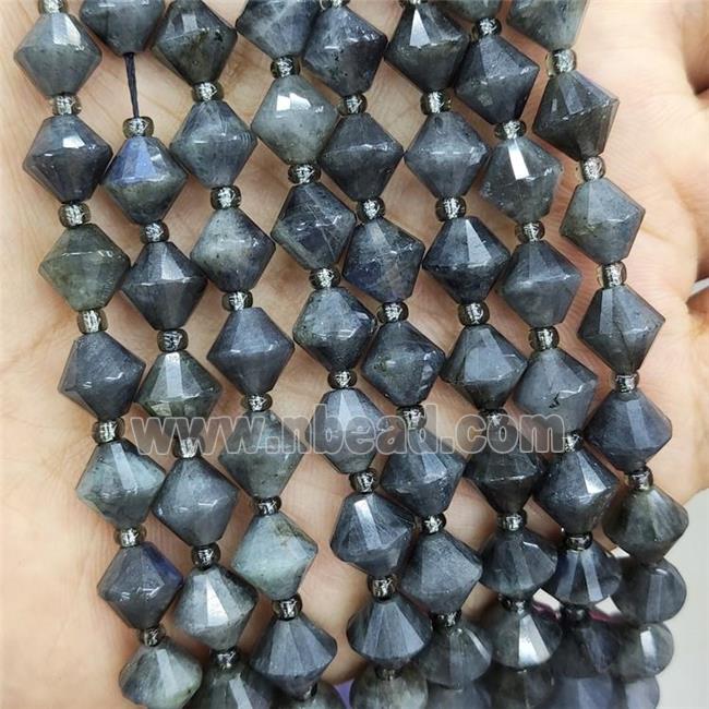 Natural Labradorite Beads Gray Bicone