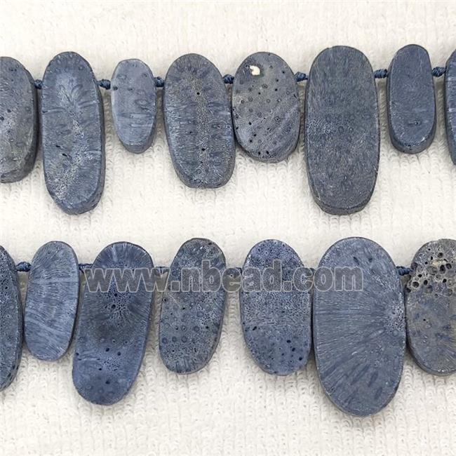 Blue Coral Fossil Oval Beads Topdrilled