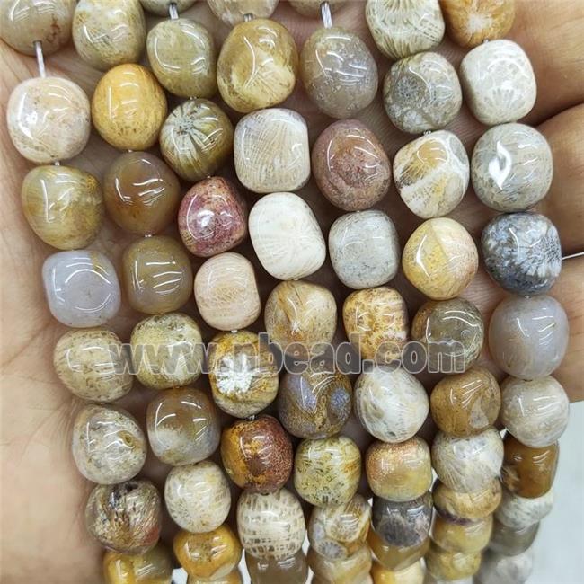 Natural Coral Fossil Beads Freeform Chip