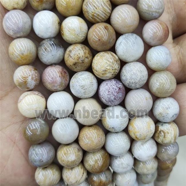 Natural Coral Fossil Beads Yellow Smooth Round