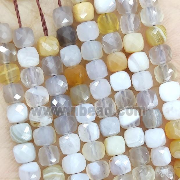 Natural Botswana Agate Beads Multicolor Faceted Cube