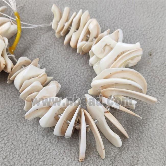 White Queen Shell Beads Slice Freeform