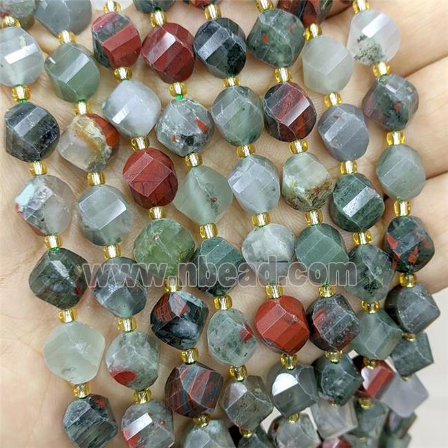 Natural African Bloodstone Twist Beads S-Shape Faceted