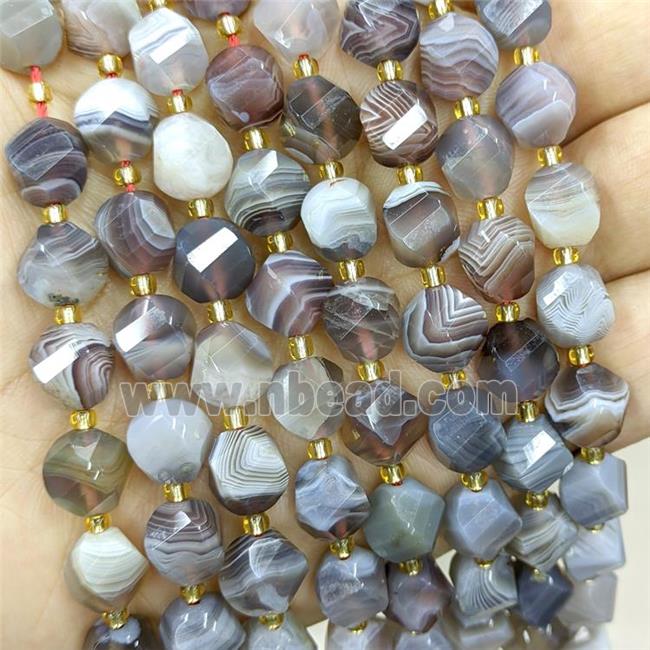 Natural Botswana Agate Twist Beads S-Shape Faceted Gray