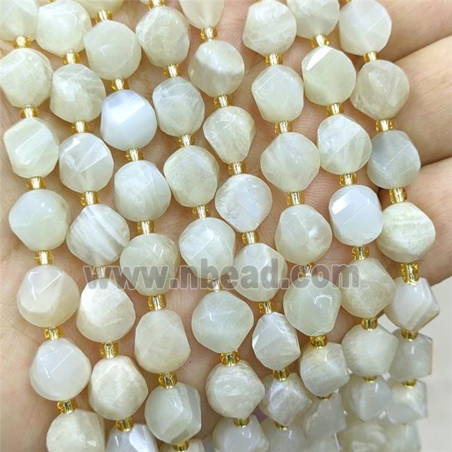 Natural Whitegray Moonstone Twist Beads S-Shape Faceted