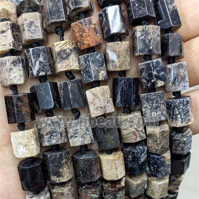 Natural Coral Fossil Beads Column Black Dye